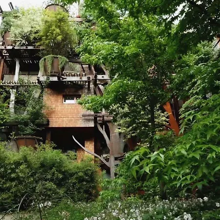 25 Verde Treehouse Loft *